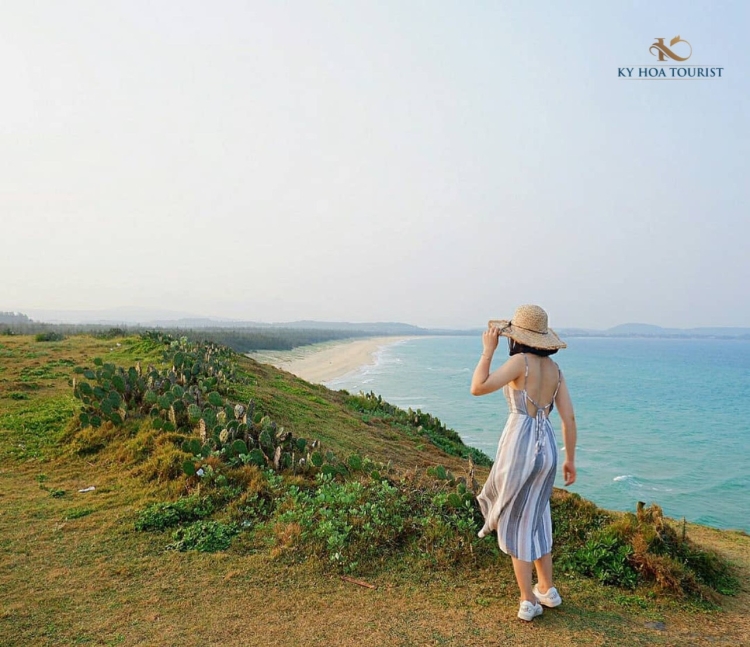 CHƯƠNG TRÌNH TUY HÒA - QUY NHƠN   